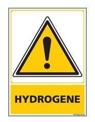 HYDROGENE (C0642)