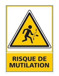 RISQUE DE MUTILATION (C0678)