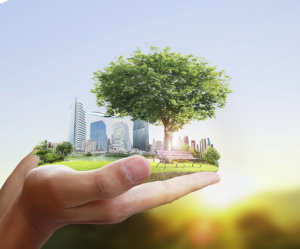 Étude d’impact environnemental au Maroc : comment faire ? 